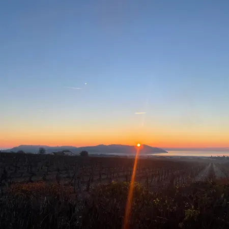 Overlooking Balaton - Tora Nezo Haziko Holiday home Orvenyes