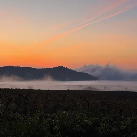 Overlooking Balaton - Tora Nezo Haziko Orvenyes
