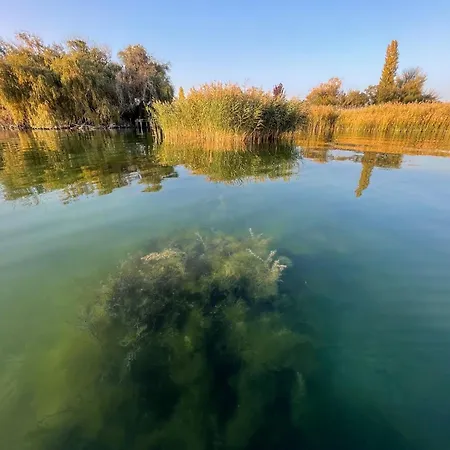 Overlooking Balaton - Tora Nezo Haziko Holiday home