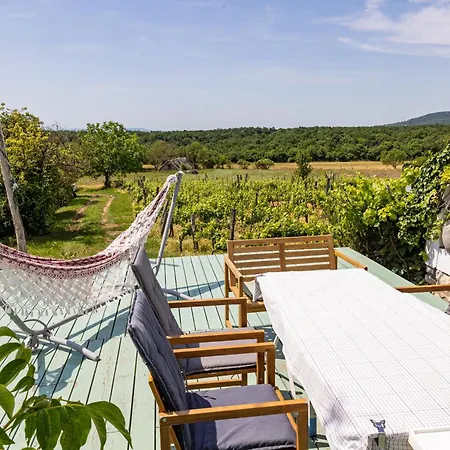 Overlooking Balaton - Tora Nezo Haziko