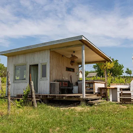 Overlooking Balaton - Tora Nezo Haziko *