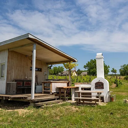 Overlooking Balaton - Tora Nezo Haziko Orvenyes
