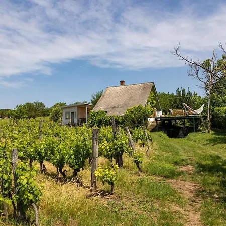 Holiday home Overlooking Balaton - Tora Nezo Haziko