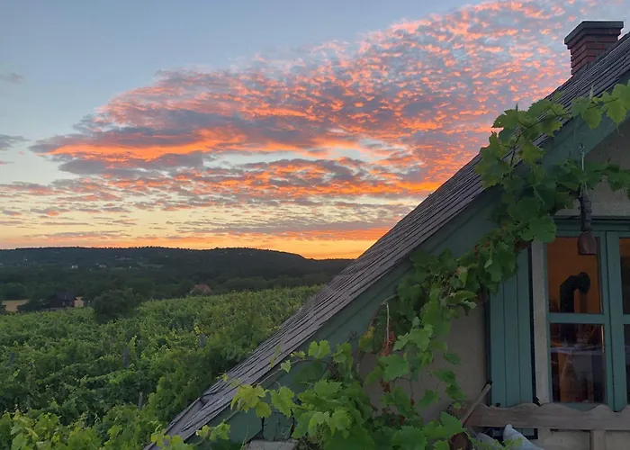 Overlooking Balaton - Tora Nezo Haziko Casa vacanze