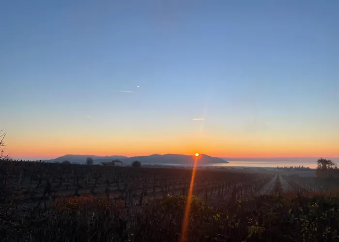 Overlooking Balaton - Tora Nezo Haziko Casa vacanze Orvenyes