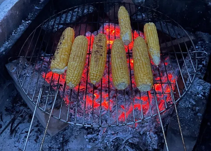 Overlooking Balaton - Tora Nezo Haziko * Orvenyes