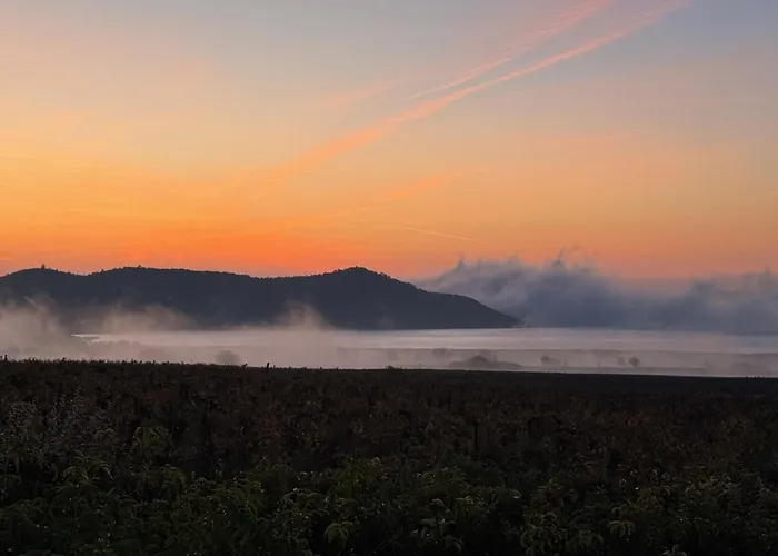 Overlooking Balaton - Tora Nezo Haziko Orvenyes