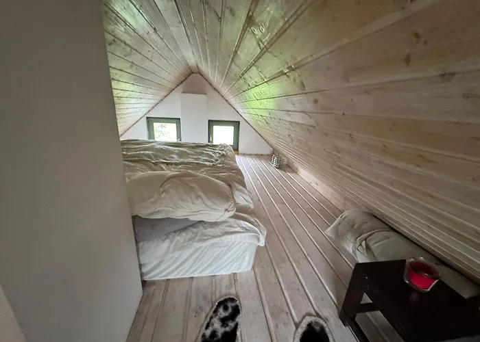 Overlooking Balaton - Tora Nezo Haziko Orvenyes