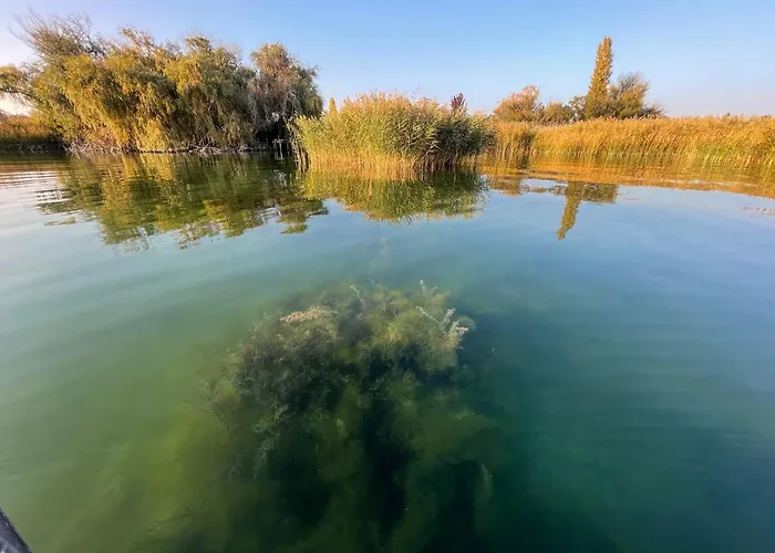 Overlooking Balaton - Tora Nezo Haziko בית נופש