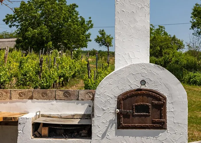 Overlooking Balaton - Tora Nezo Haziko *