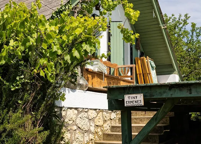 Overlooking Balaton - Tora Nezo Haziko *