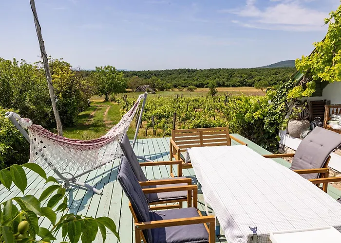 Overlooking Balaton - Tora Nezo Haziko