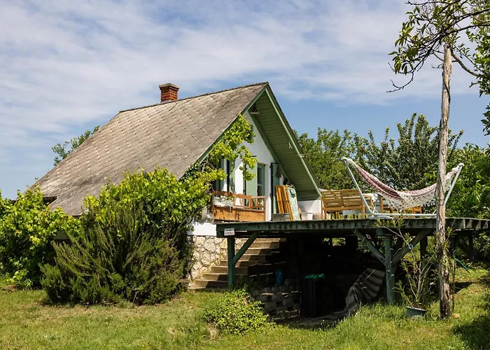 Overlooking Balaton - Tora Nezo Haziko