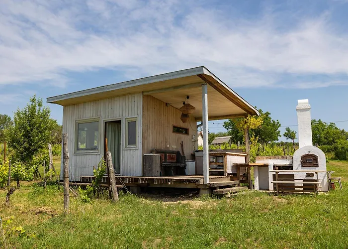 Overlooking Balaton - Tora Nezo Haziko *