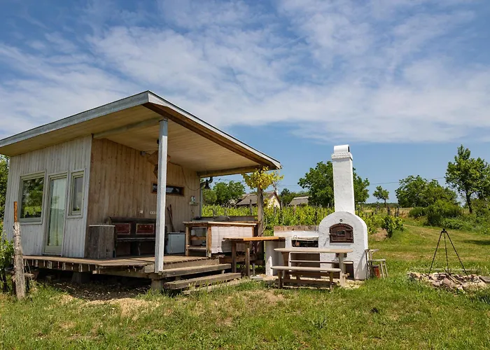 Overlooking Balaton - Tora Nezo Haziko Orvenyes