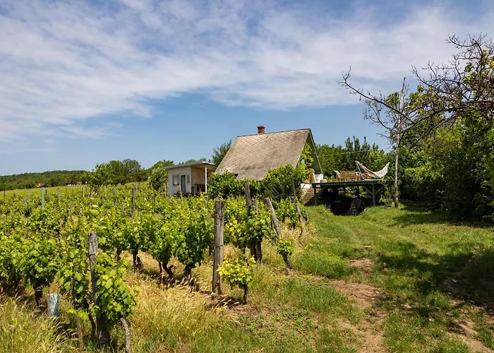 Casa vacanze Overlooking Balaton - Tora Nezo Haziko