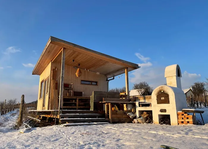 Overlooking Balaton - Tora Nezo Haziko Orvenyes